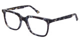 Glen Lane Eyeglasses BUCHANAN GREY TORTOISE/GTO
