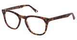 Glen Lane Eyeglasses WOODBRIDGE AMBER TORTOISE/ATO