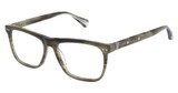 AllSaints Eyeglasses ANDERS MILKY OLIVE HORN/522