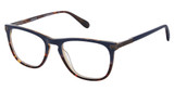 Cremieux Eyeglasses Safari Navy Tort/NAVY TORT