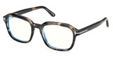 Tom Ford Eyeglasses FT6060-B havana/other/056