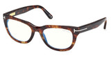 Tom Ford Eyeglasses FT6066-B coloured havana/055