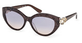 Guess? Eyeglasses GM00033 dark brown/other / gradient blue/50W