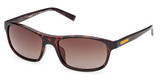 Timberland Eyeglasses TB00057-H dark havana / brown polarized/52H