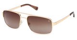 Timberland Eyeglasses TB00065 gold / brown polarized/32H