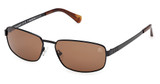Timberland Eyeglasses TB00066 shiny black / brown polarized/01H
