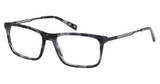 Viva Eyeglasses VV50031 coloured havana/055