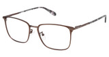 Cremieux Eyeglasses Grimaud Umber/UMBER