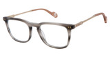 True Religion Eyeglasses T4031 Brown/BRN