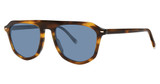 Paradigm Eyeglasses Raleigh Tortoise/TO