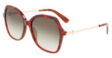 Longchamp Eyeglasses LO705S N HAVANA/230