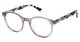 Perry Ellis Eyeglasses Perry Ellis 514 Crystal Grey