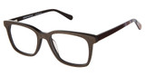 AÉROPOSTALE Eyeglasses AERO1008 Brown/BROWN