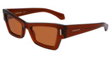Ferragamo SF2006S TRANSPARENT BROWN/232