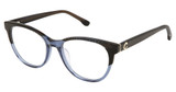 Champion HAZEL SMOKE / CHAMBRY/C03