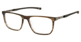Champion Eyeglasses RETAIN100 BROWN HORN/C02