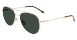 Calvin Klein Collection Eyeglasses CK20120S N GOLD/717
