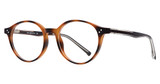 Step Up Eyeglasses Alvin Tortoise