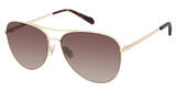 Fossil Eyeglasses FOS 3137/G/S/US GD BRWHVN/0DM2