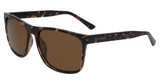 Columbia Eyeglasses C550SP N BOULDER RIDGE SHINY TORTOISE/BROWN/240