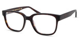 Lowercase MILO TORTOISE/TORT