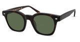 Lowercase Eyeglasses DIX TORTOISE/TORT