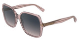 Longchamp Eyeglasses LO808S TRANSPARENT ROSE/610