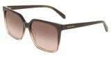 Ferragamo Eyeglasses SF2102S TRANSPARENT BROWN GRADIENT/234