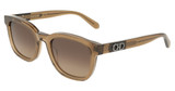 Ferragamo Eyeglasses SF2107S TRANSPARENT BROWN/232
