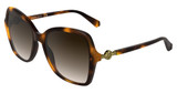 Kendra Scott KE613S TORTOISE/240