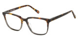 Fossil Eyeglasses FOS 7173/US HAVGREY HA/0AB8