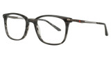 Rip Curl Eyeglasses RC2114 Grey Horn/C-2