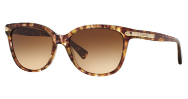COACH Eyeglasses HC8132 L109 LIGHT BROWN CONFETTI TOR/528713