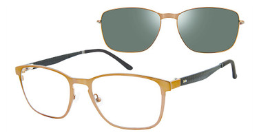 REVOLUTION Eyeglasses MANCHESTER BROWN/BRN