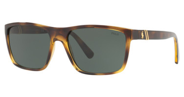 Polo Eyeglasses PH4133 SHINY TRANSPARENT DARK H/500371