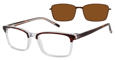 REVOLUTION Eyeglasses TRENTON TORTOISE/TOR