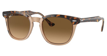 Ray-Ban RB2298 HAWKEYE HAVANA ON TRANSPARENT BR/1292M2