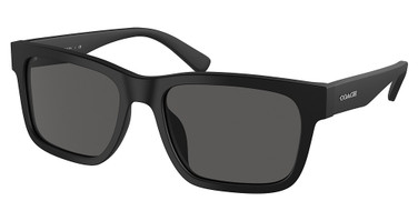 COACH Eyeglasses HC8308U L1161 MATTE BLACK/500287