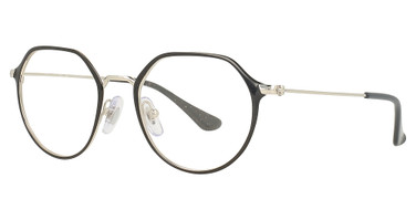 Ray-Ban Youth Eyeglasses RY1058 BLACK ON SILVER/4064