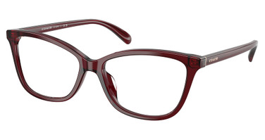 COACH Eyeglasses HC6206U MILKY BURGUNDY/5393