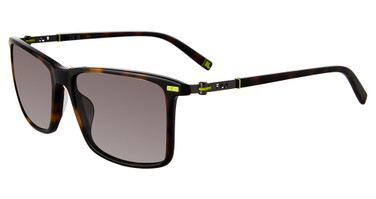 Fila Eyeglasses SFI447 Havana 0C10