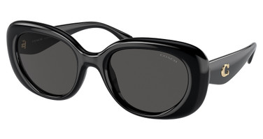 COACH Eyeglasses HC8391U CR609 BLACK/500287