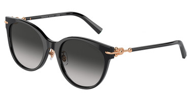 Tiffany Eyeglasses TF4223D BLACK/80013C