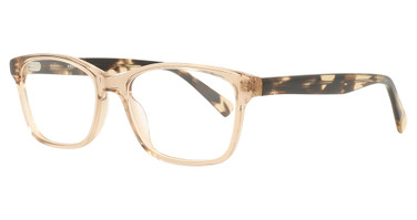 Vue Eyeglasses V1179 BROWN/C1
