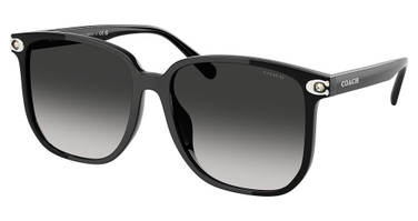 COACH Eyeglasses HC8413BD CW419 BLACK/50023C