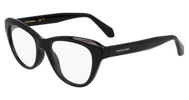Ferragamo SF2989E BLACK/001