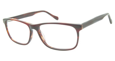 Aristar Eyeglasses AR 18653 Brown/535