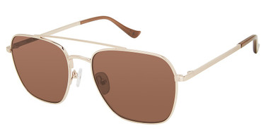 Denon Eyewear Eyeglasses DYLAN Shiny Gold, Dark Brown /GD