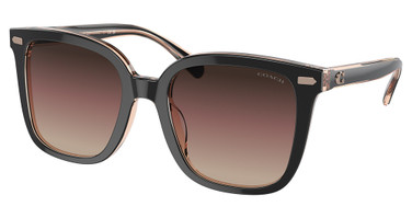 COACH Eyeglasses HC8381F CL919 BLACK / TRANSPARENT BLUS/5781E2