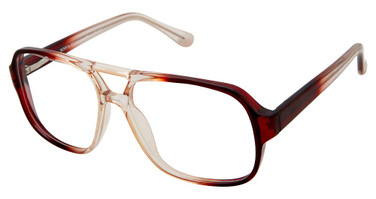 New Globe Eyeglasses Winn-P Brown/BROWN
